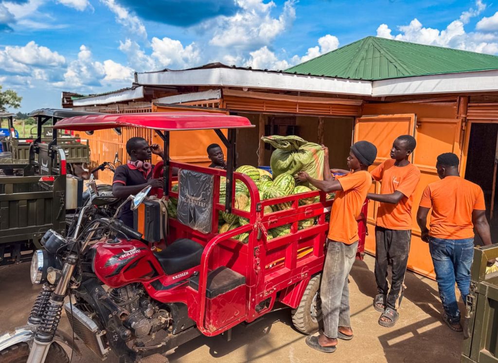Traford team loading fresh produce onto a delivery vehicle