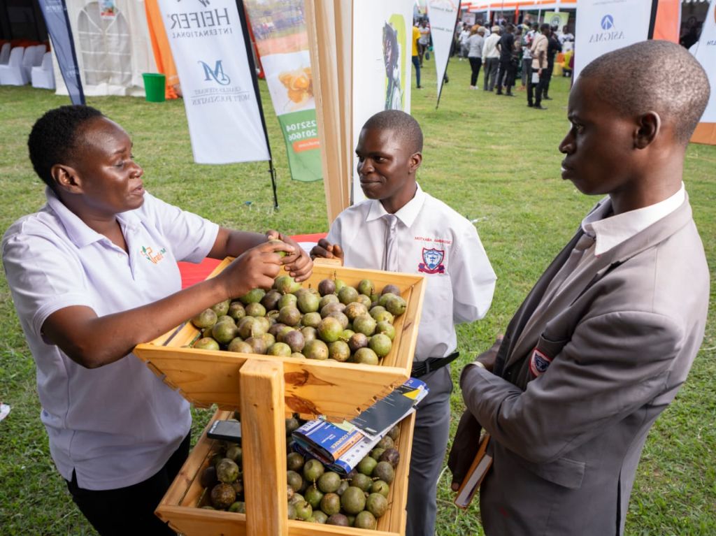 Traford team showing fresh passion fruit to students at a community trade show