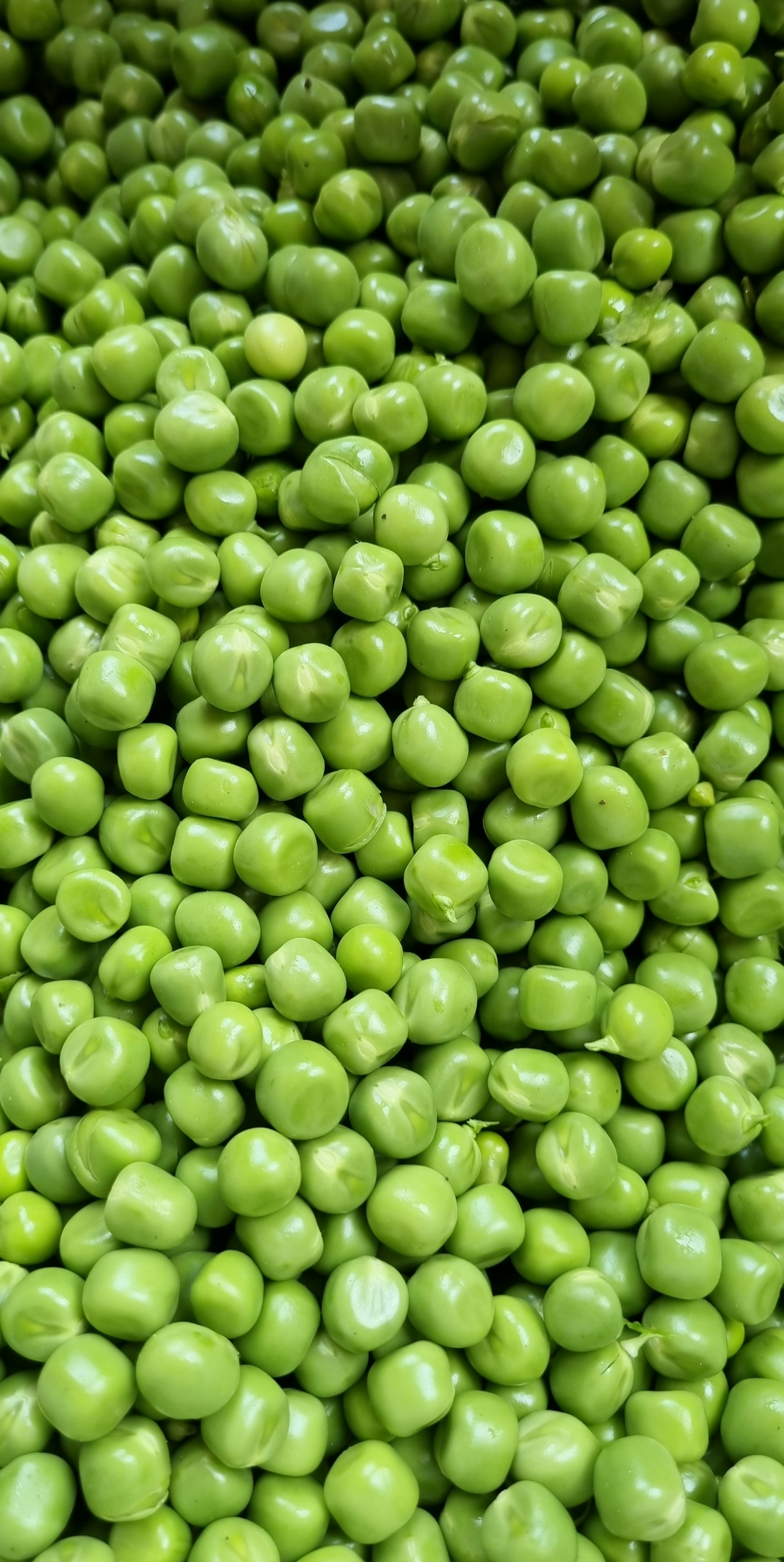Fresh Peas